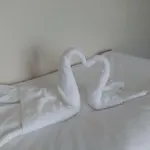 Hotel Family Novel