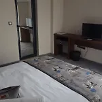 Hotel Family Novel