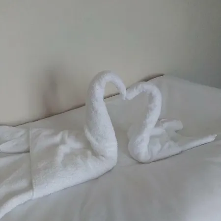 מלון Family Novel